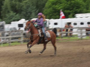 Horse Show